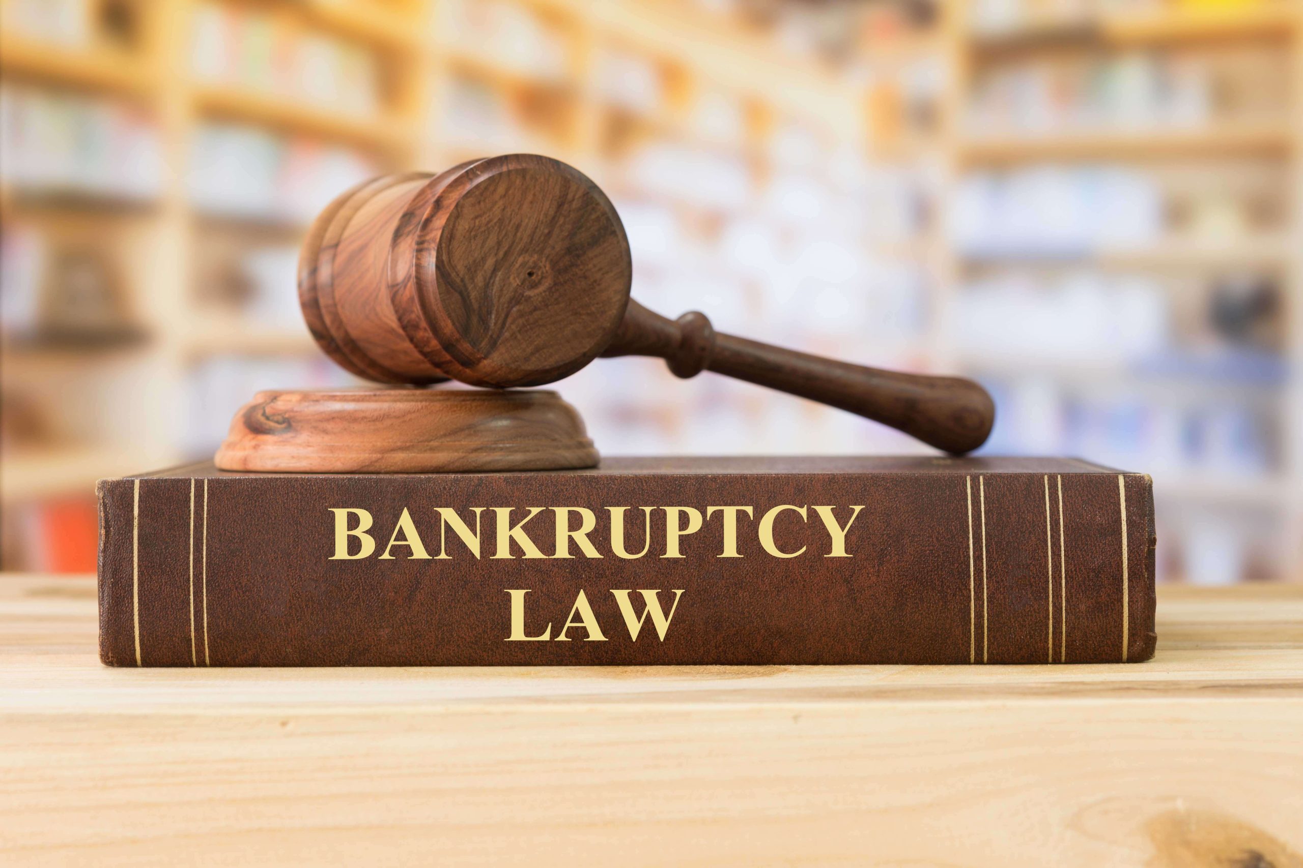 Understanding Bankruptcy Law in Kingsport - Key information about the laws and statutes governing the process of bankruptcy.